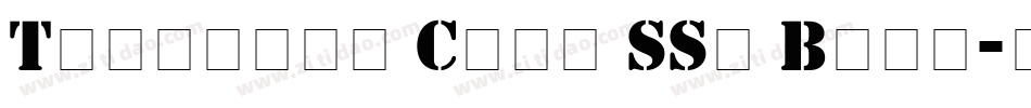 Template Caps SSi Bold字体转换